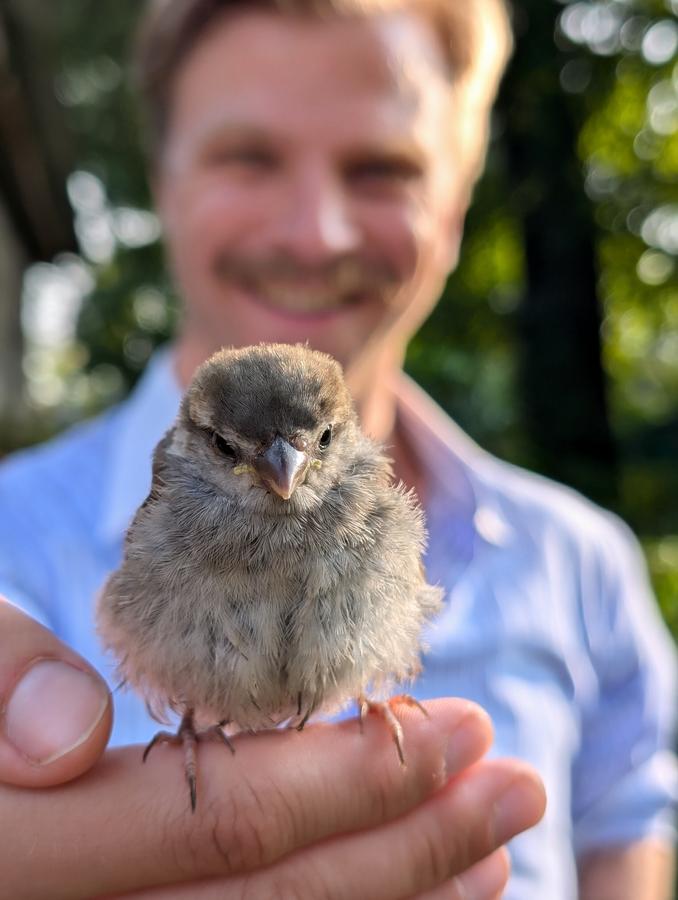 A participant holding a sparrow chick found at the farm